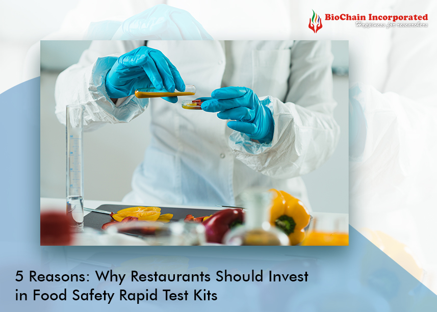 Top 5 Reasons Why Restaurants Should Invest in Food Safety Rapid Test Kits