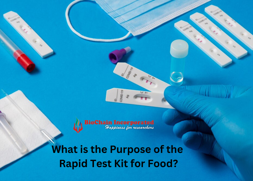 What is the purpose of the rapid test kit for food?