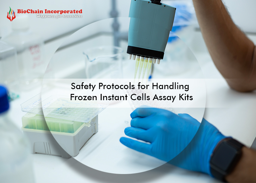 Safety Protocols for Handling Frozen Instant Cells Assay Kits