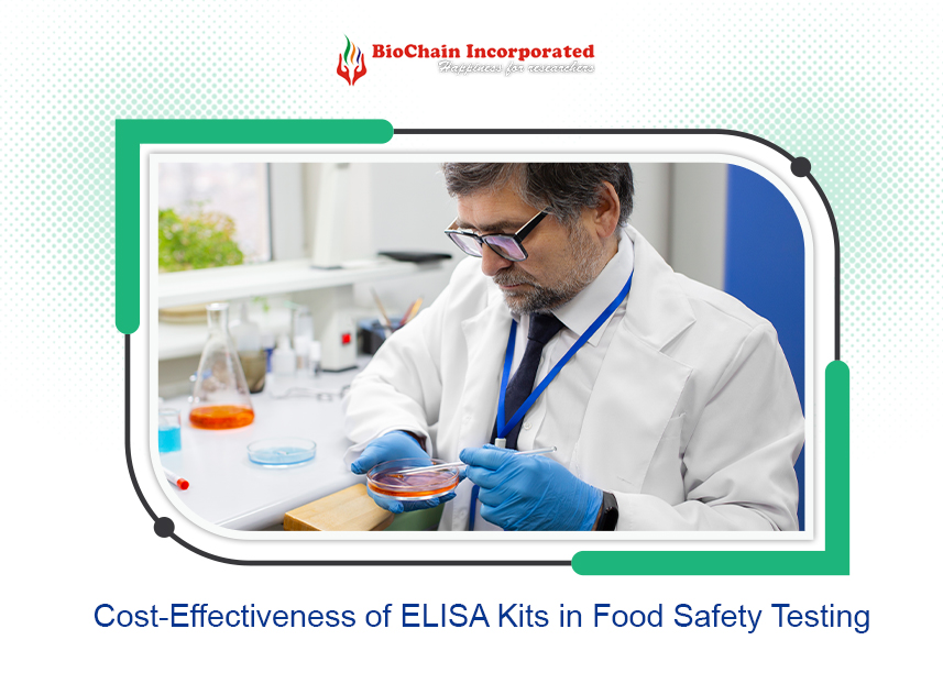 Cost-Effectiveness of ELISA Kits in Food Safety Testing