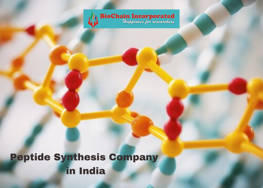 Peptide synthesis company in India