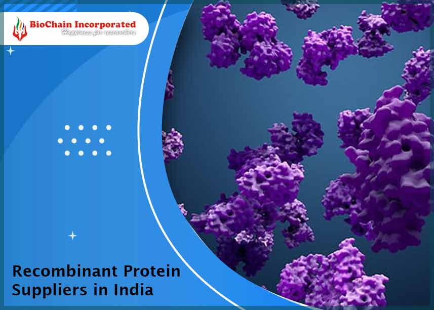 Recombinant Protein Suppliers in India