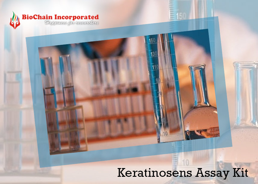 Keratinosens Assay Kit