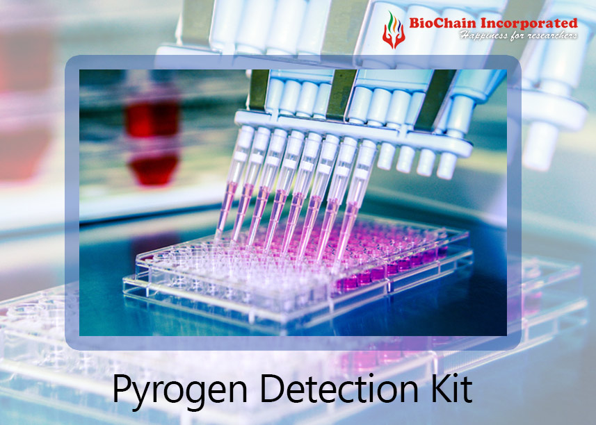 Pyrogen Detection Kit (MAT)