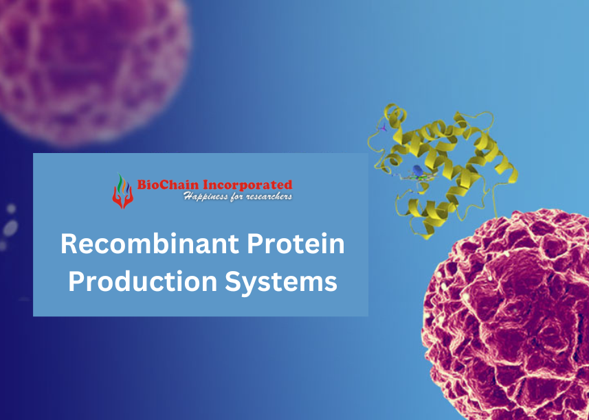 Recombinant Protein Production Systems: Yeast, Bacteria, Mammalian Cells, and Insect Cells