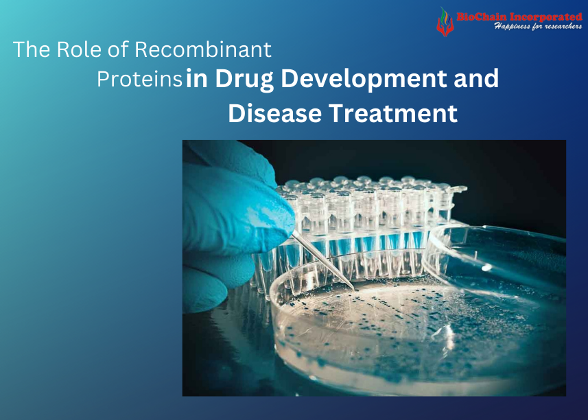 The Role of Recombinant Proteins in Drug Development and Disease Treatment