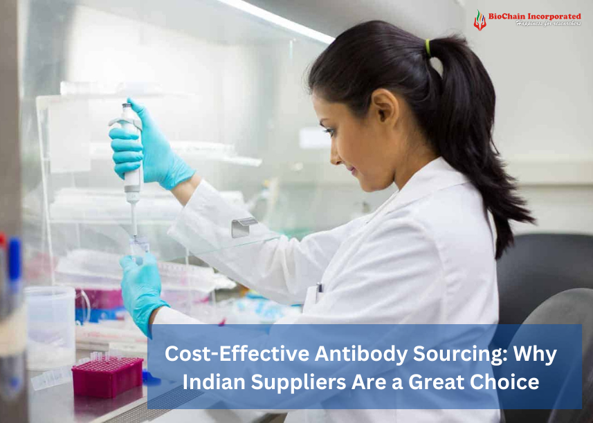 Cost-Effective Antibody Sourcing: Why Indian Suppliers Are a Great Choice