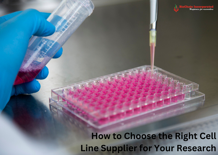 How to Choose the Right Cell Line Supplier for Your Research