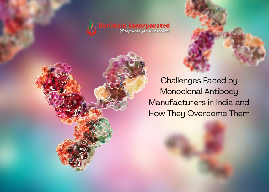 Challenges Faced by Monoclonal Antibody Manufacturers in India and How They Overcome Them