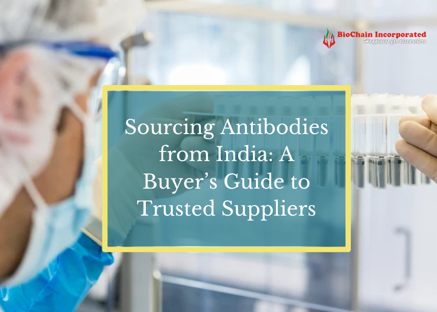 Sourcing Antibodies from India: A Buyer’s Guide to Trusted Suppliers