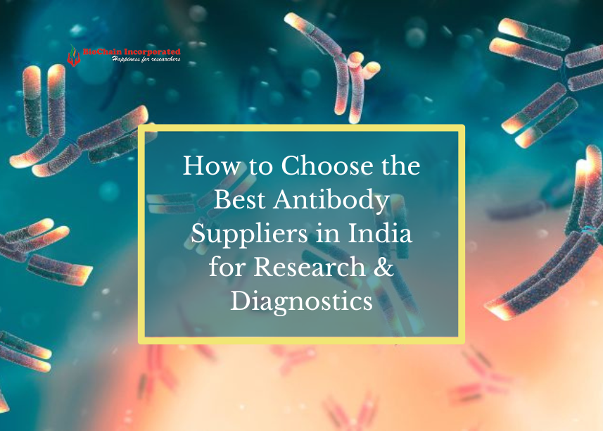 How to Choose the Best Antibody Suppliers in India for Research & Diagnostics