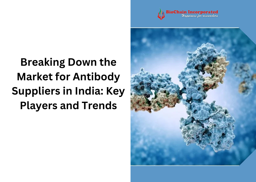 Breaking Down the Market for Antibody Suppliers in India: Key Players and Trends