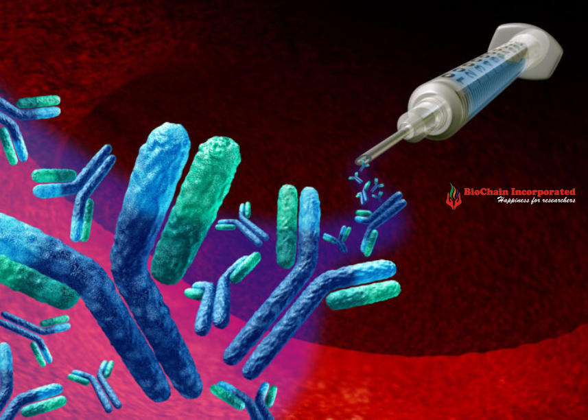 Ethical Considerations of Monoclonal Antibody Use in India 